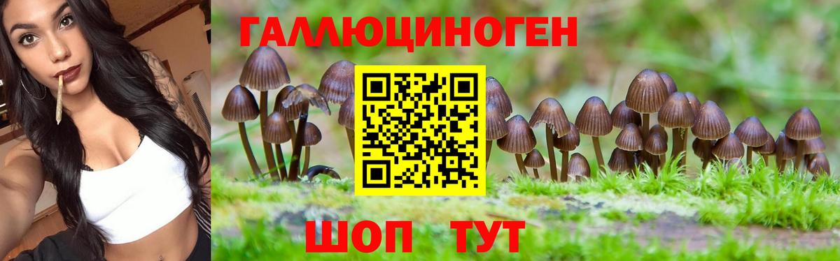 Галлюциногенные грибы мицелий Москва